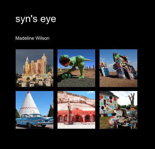 View syn's eye by Madeline Wilson