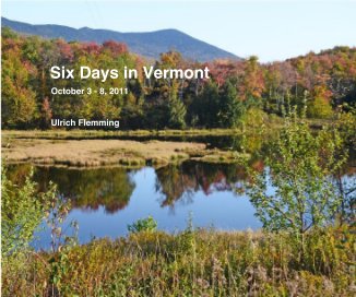Six Days in Vermont book cover
