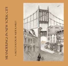 MEANDERINGS IN NEW YORK CITY book cover