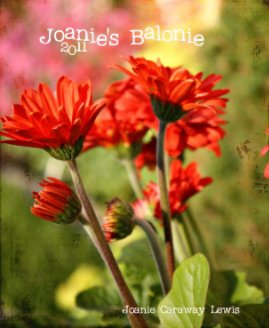 Joanie's Balonie * 2011 book cover
