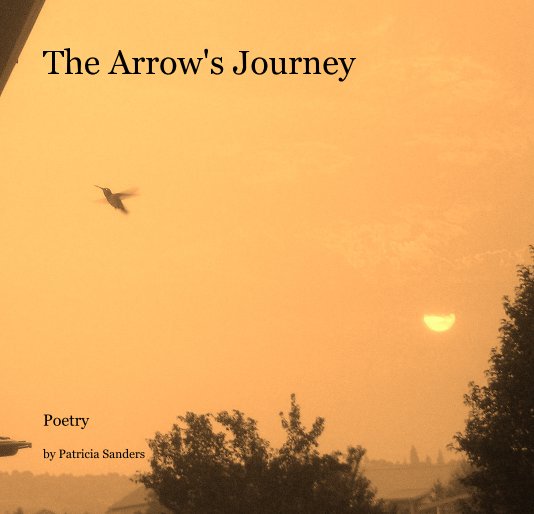 The Arrow's Journey nach Patricia Sanders anzeigen