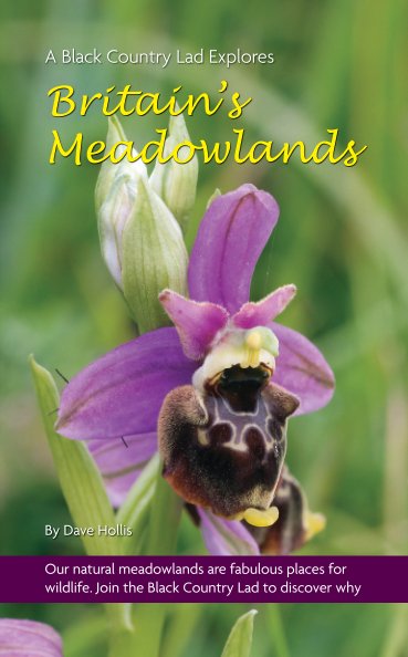 Ver British Meadowlands por Dave Hollis