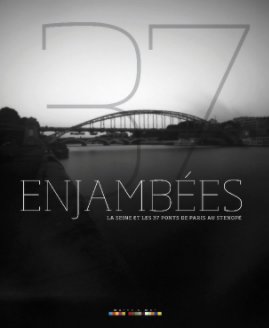 37 enjambées // 37 ponts à Paris au sténopé book cover