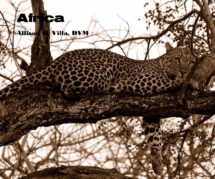 View Africa by Allison H. Villa, DVM