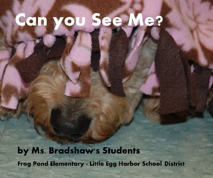 View Can you See Me? by Ms. Bradshaw's Students