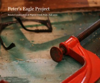 Peter's Eagle Project book cover