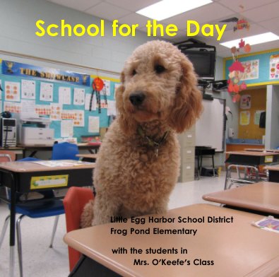 School for the Day book cover