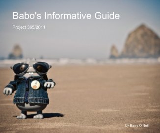 Babo's Informative Guide book cover