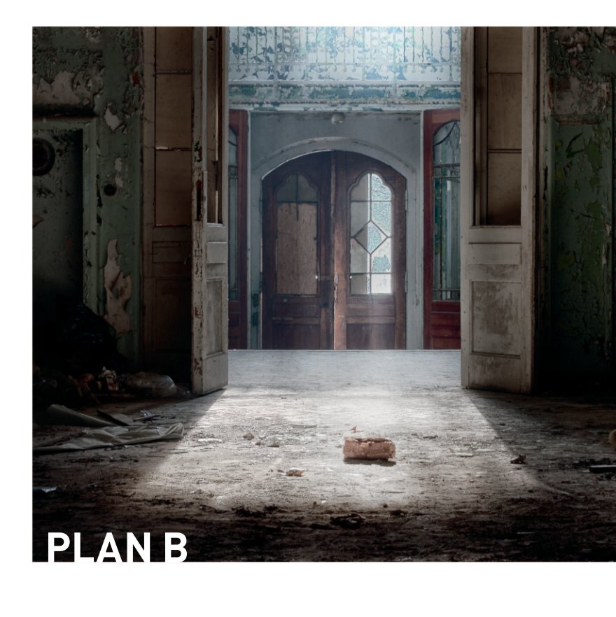 View Plan B by Frank Niedertubbesing