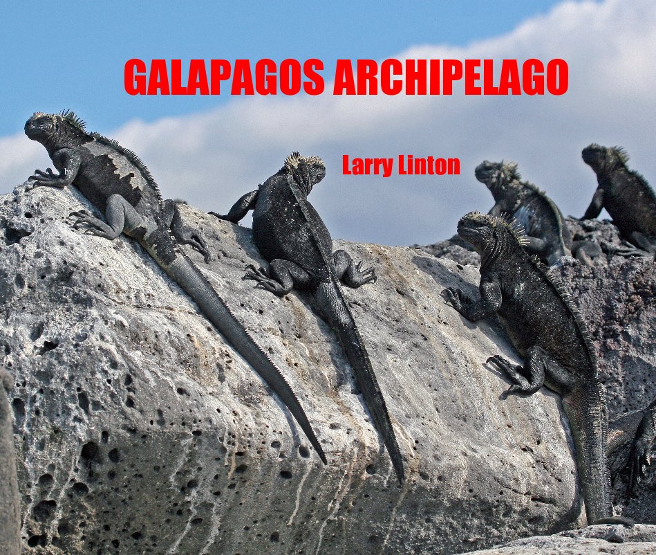 Visualizza GALAPAGOS ARCHIPELAGO di Larry Linton