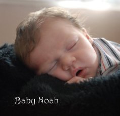 Baby Noah book cover