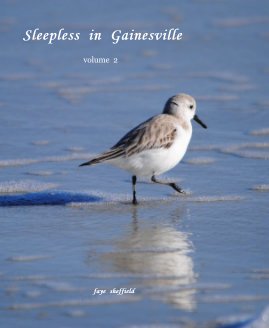Sleepless in Gainesville book cover
