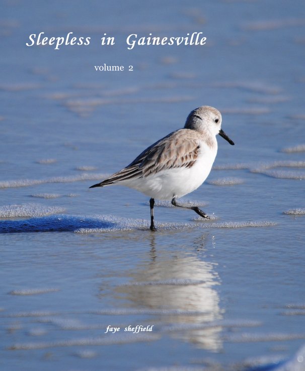Ver Sleepless in Gainesville por faye sheffield