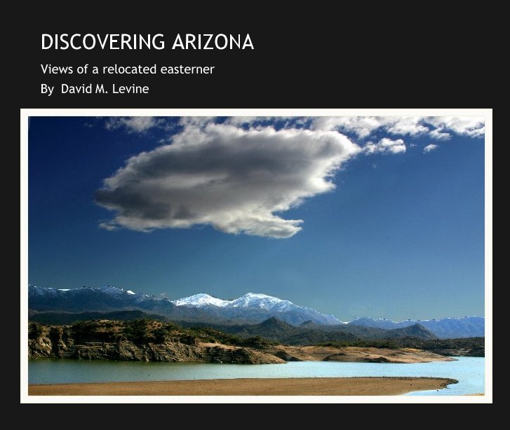 View DISCOVERING ARIZONA by David M. Levine