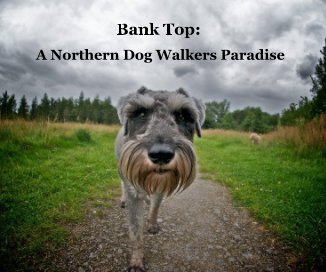 Bank Top: A Northern Dog Walkers Paradise book cover