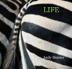 LIFE book cover