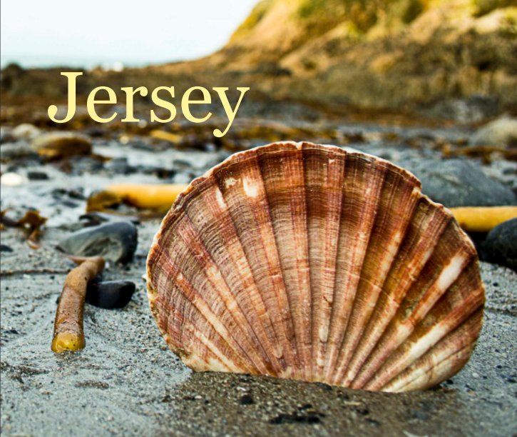 View Jersey by Edward Wilson