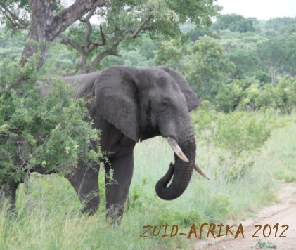 ZUID AFRIKA 2012 book cover