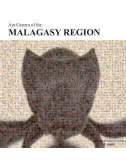 Ant Genera of the Malagasy Region book cover