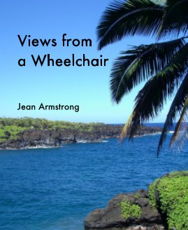 Views from a Wheelchair book cover