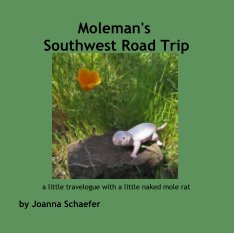 Moleman's Southwest Road Trip book cover