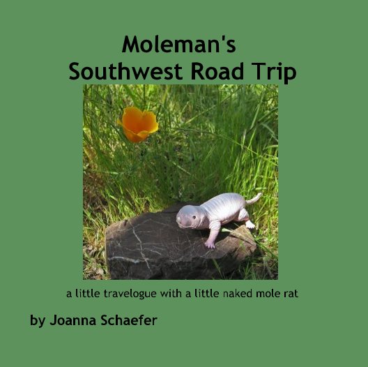 View Moleman's Southwest Road Trip by Joanna Schaefer