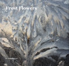 Frost Flowers book cover