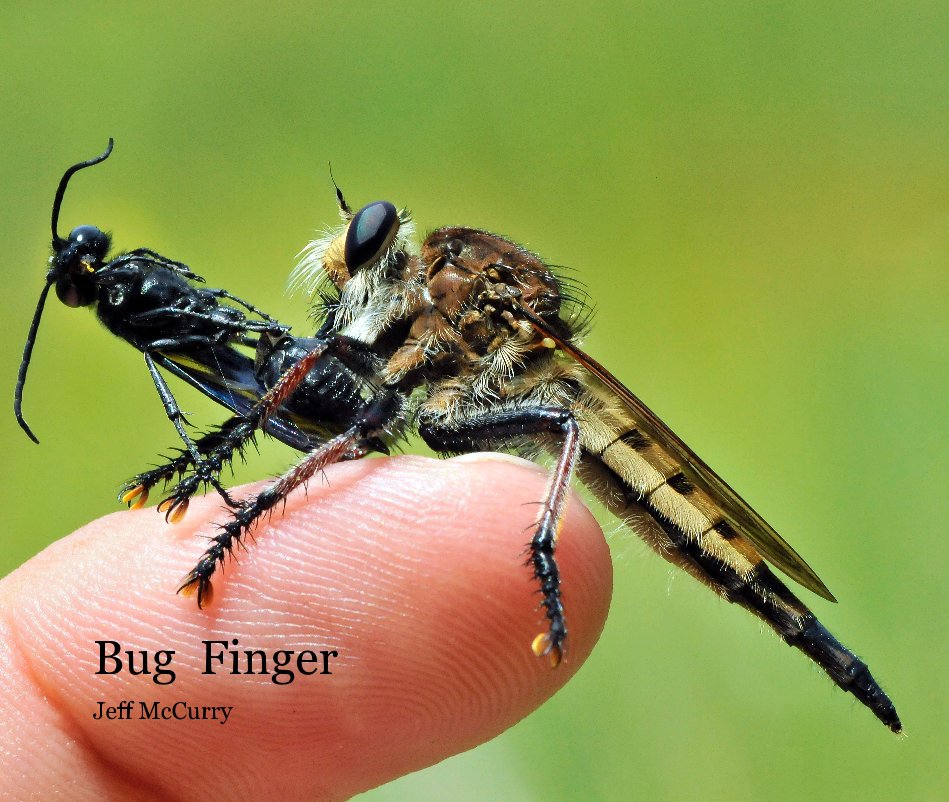 View Bug Finger by Jeff McCurry
