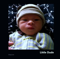 Little Dude book cover