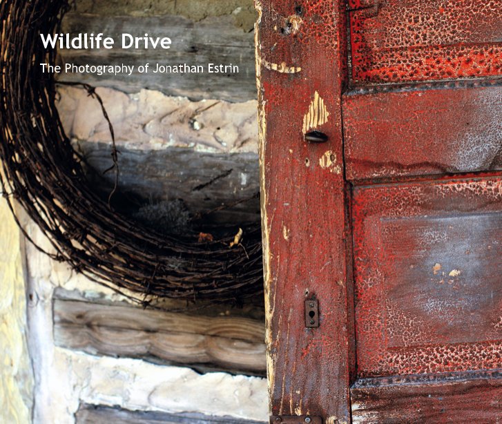 Visualizza Wildlife Drive di Jonathan Estrin