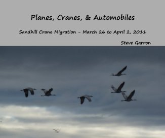 Planes, Cranes, & Automobiles book cover