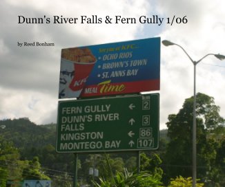 Dunn's River Falls & Fern Gully 1/06 book cover