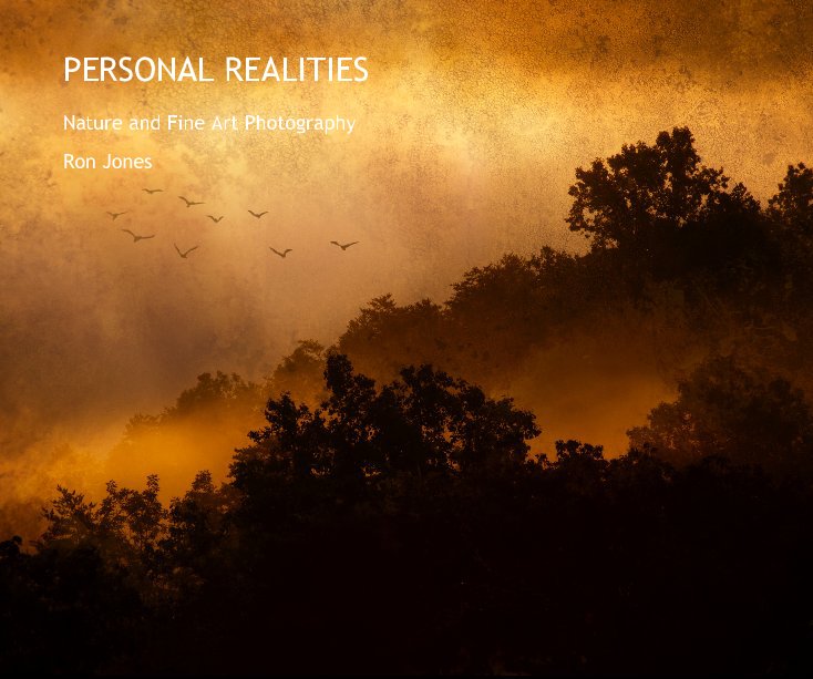View PERSONAL REALITIES by Ron Jones