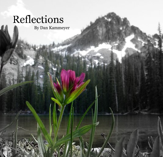 View Reflections by Dan Kammeyer