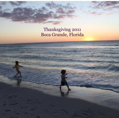 Thanksgiving 2011 Boca Grande, Florida book cover