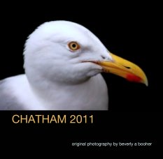 CHATHAM 2011 book cover