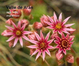 Valle de Arán book cover