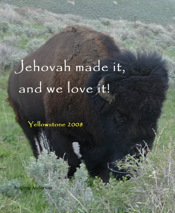 View Jehovah made it, and we love it! by Tony Anderson