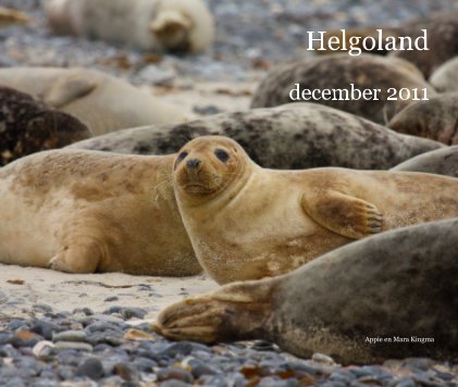Helgoland december 2011 book cover