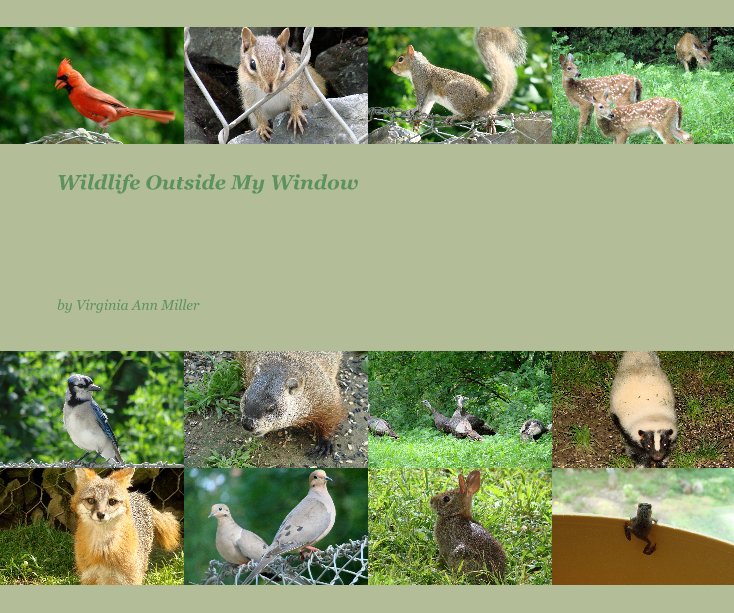 Ver Wildlife Outside My Window por Virginia Ann Miller