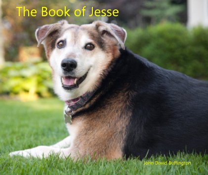 The Book of Jesse book cover