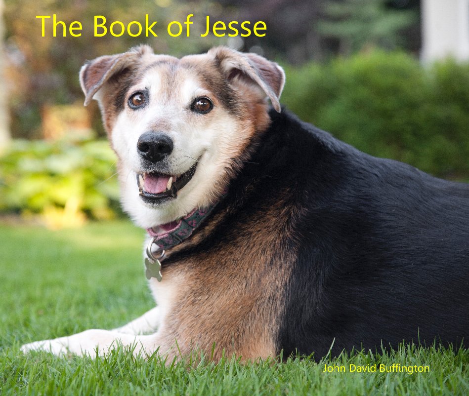 View The Book of Jesse by John David Buffington
