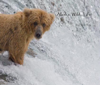 Alaska Wild...Life book cover