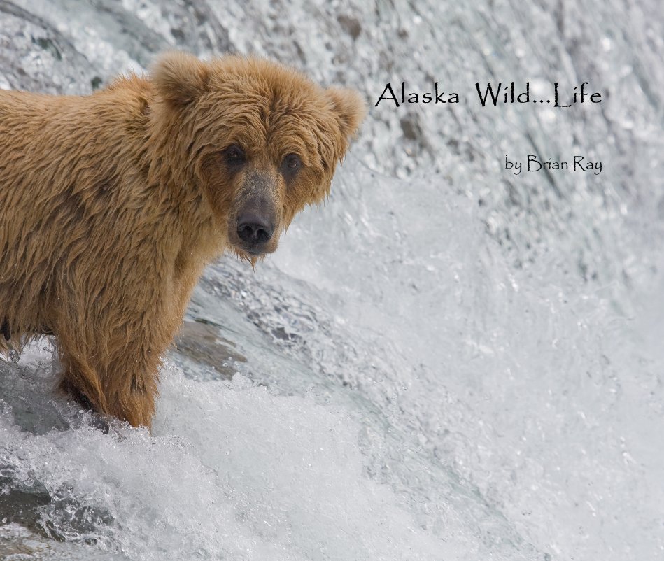 View Alaska Wild...Life by Brian Ray