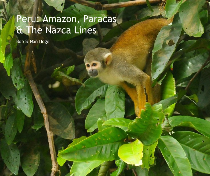 Ver Peru: Amazon, Paracas & The Nazca Lines por Bob & Nan Hoge