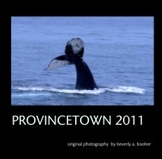 PROVINCETOWN 2011 book cover