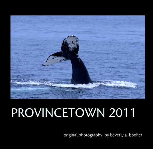 Ver PROVINCETOWN 2011 por beverly a. booher
