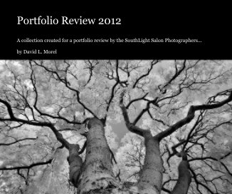 Portfolio Review 2012 book cover