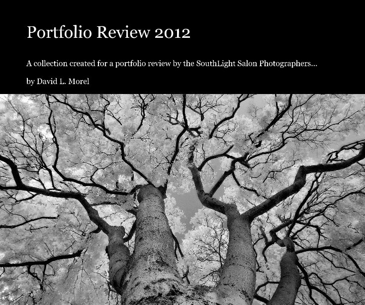 View Portfolio Review 2012 by David L. Morel