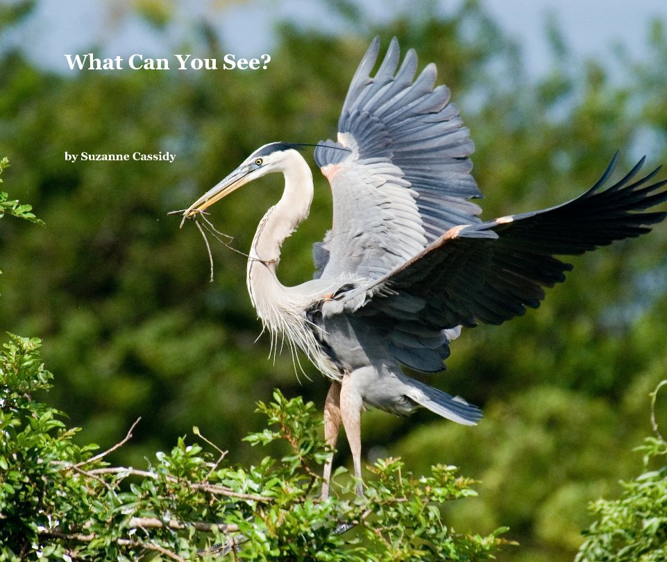 Ver What Can You See? por Suzanne Cassidy